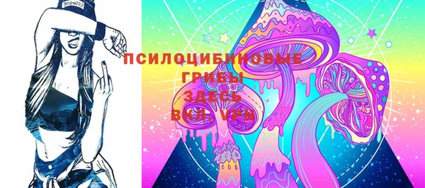 ALPHA PVP Билибино