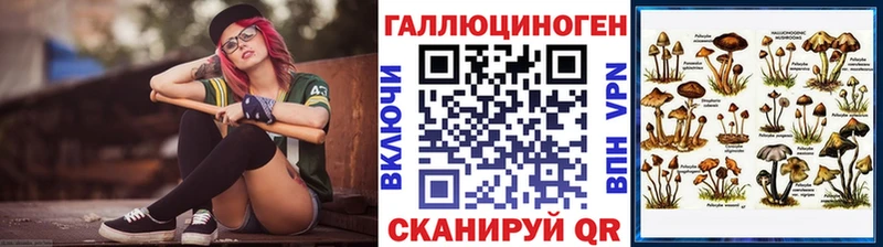 купить   Барыш  Псилоцибиновые грибы Psilocybine cubensis 